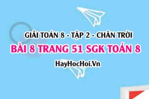 Bài 8 trang 51 Toán 8 Tập 2 Chân trời sáng tạo